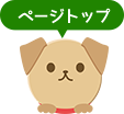 ページトップ